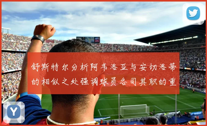 舒斯特尔分析阿韦洛亚与安切洛蒂的相似之处强调球员各司其职的重要性